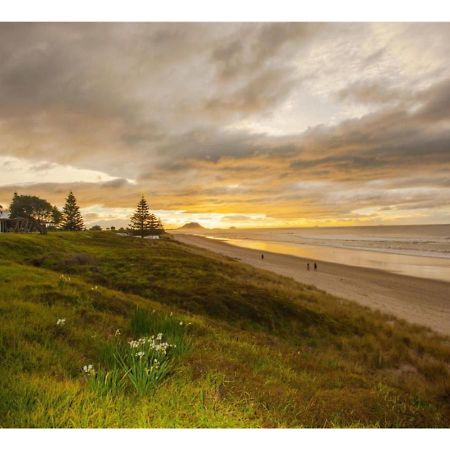 Cabbage Tree - Summer Or Winter Beachfront Haven Papamoa Dış mekan fotoğraf