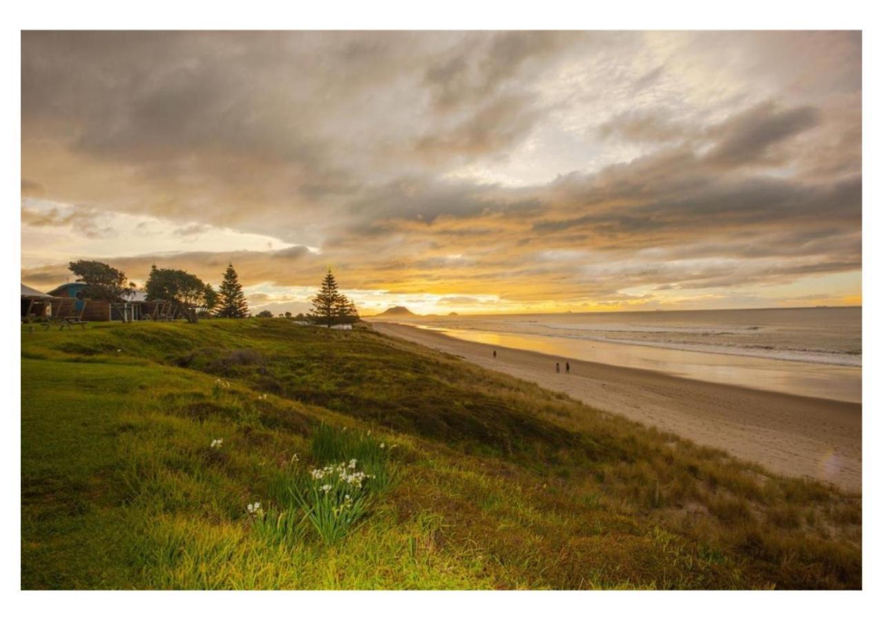Cabbage Tree - Summer Or Winter Beachfront Haven Papamoa Dış mekan fotoğraf